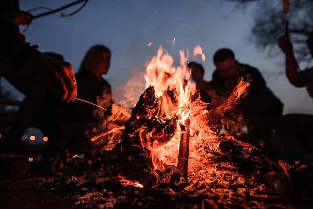 Camping Nights